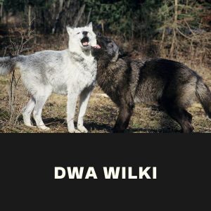 Ona i On Dobrze Ustawieni - Ćwiczenia | Dwa wilki